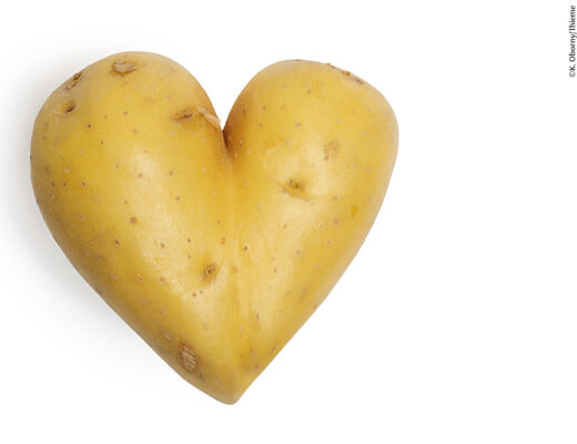 Herzförmige Kartoffel, freigestellt