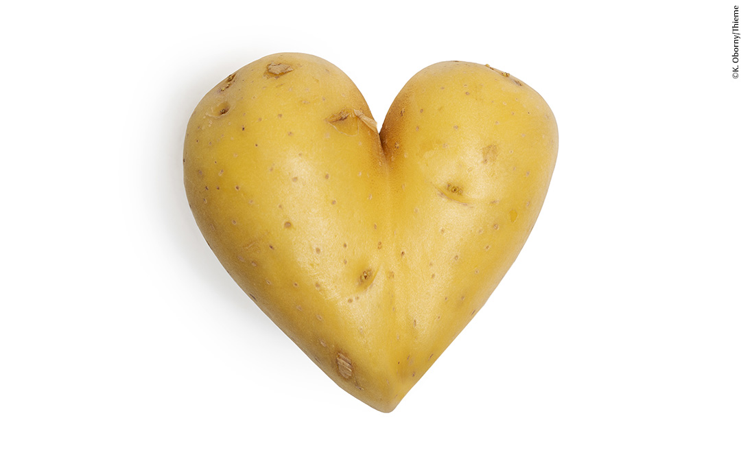 Herzförmige Kartoffel, freigestellt